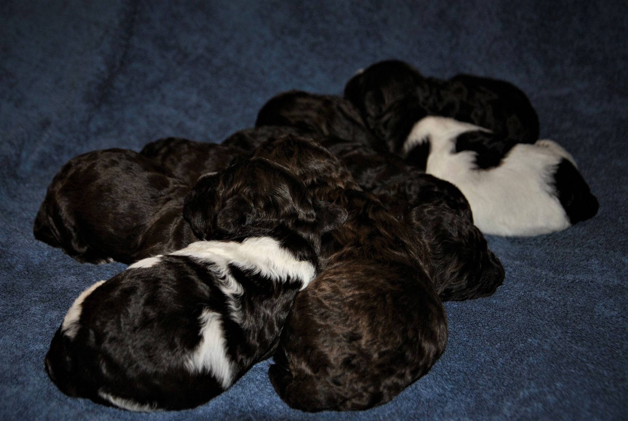 184872595 311797000318443 4635539918216946882 n