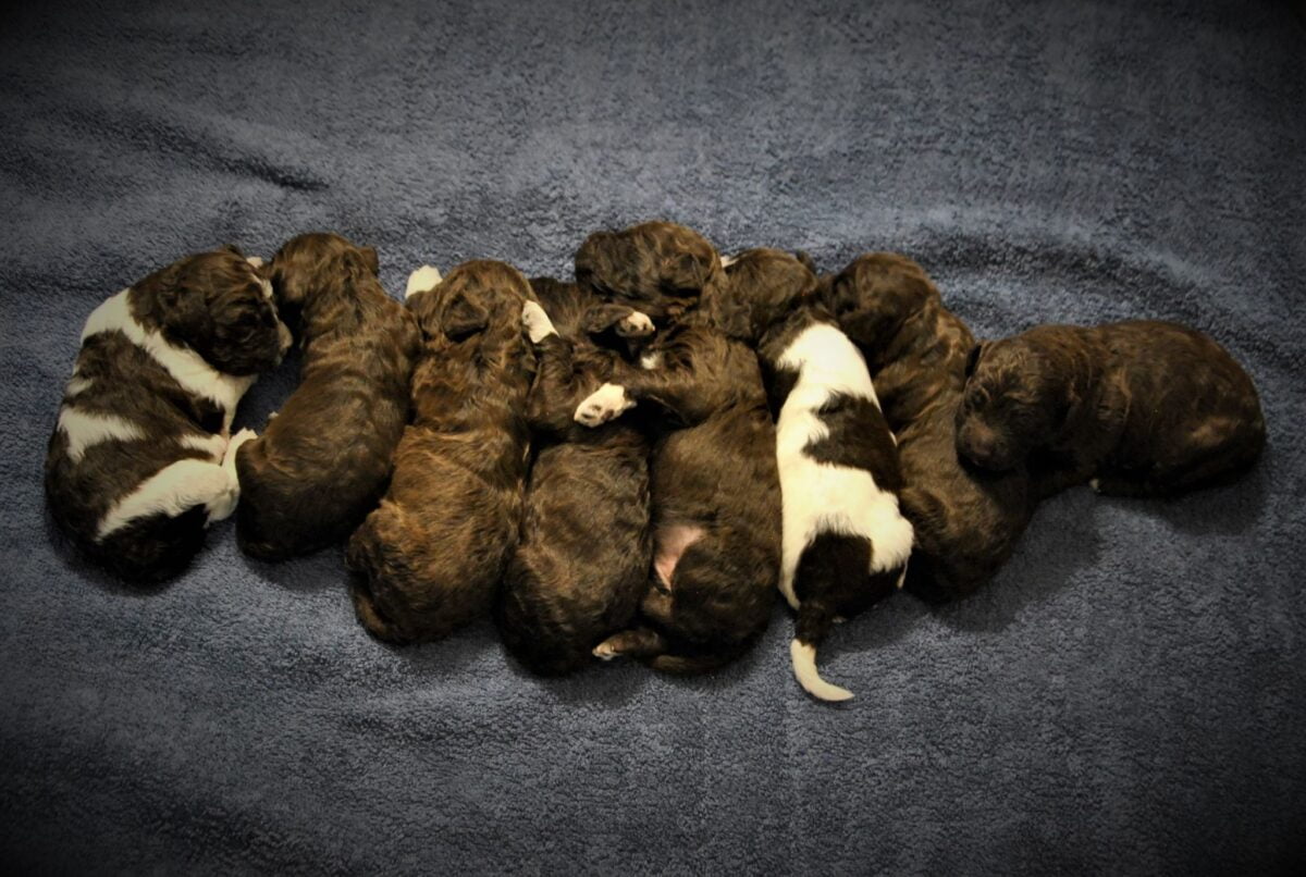 184906544 902524100599874 2730489919667258984 n e1671461121586