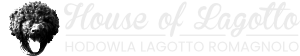 Lagotto romagnolo hodowla | House of Lagotto